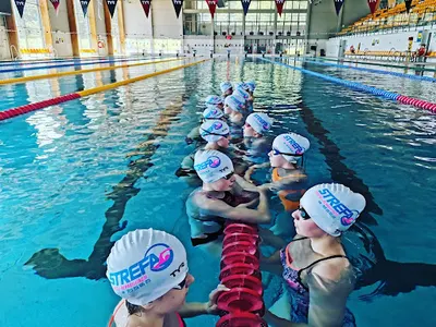 Strefa Sportu i Rehabilitacji Szkoła Pływania